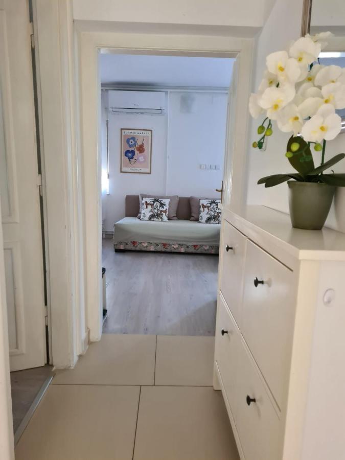St Anthony'S House With Parking Apartment Zagreb Bagian luar foto